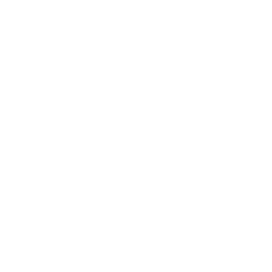 Solo Venture AI